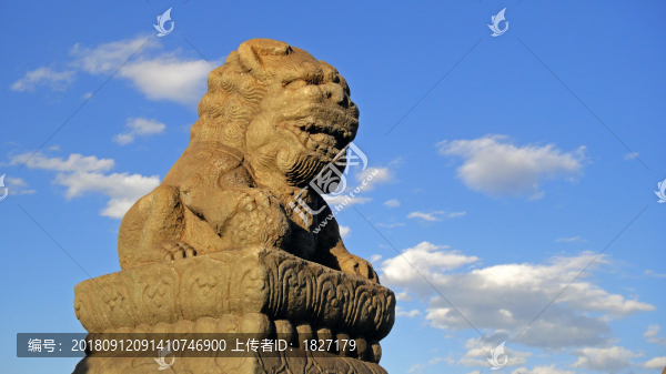 盧溝橋的獅子