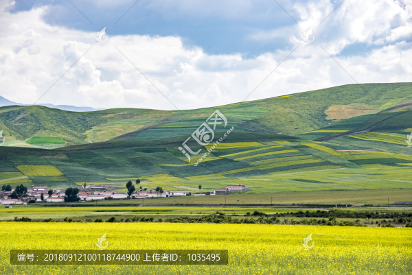 門源風(fēng)光