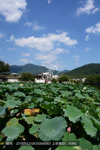 宏村風(fēng)光
