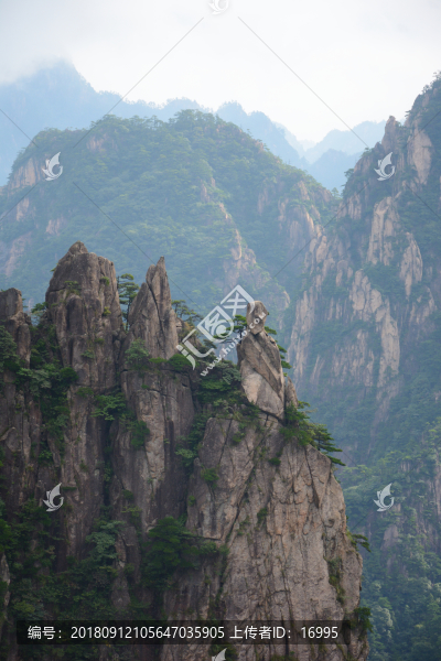 黃山