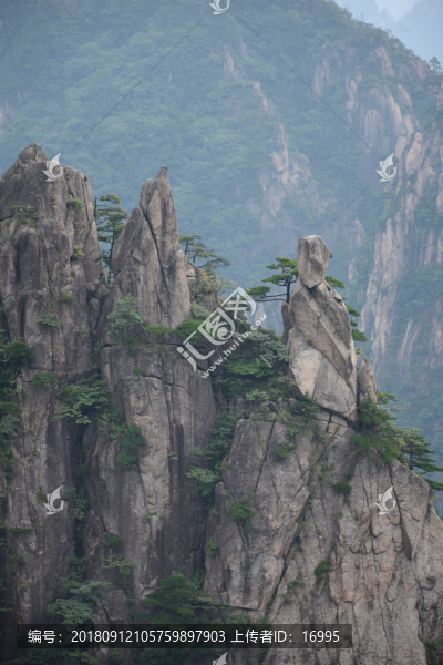 黃山