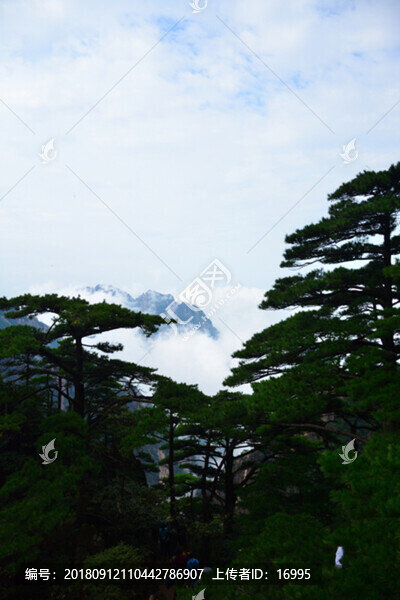 黃山風(fēng)景
