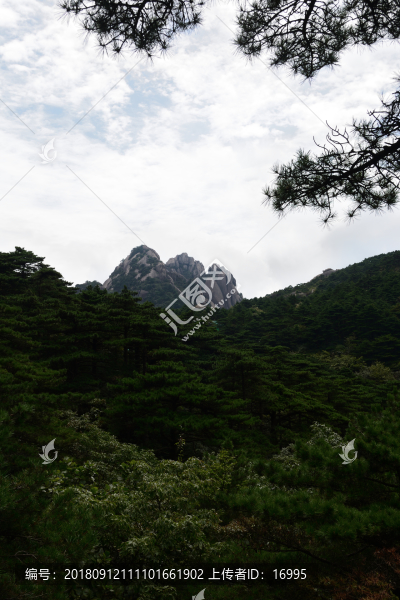 黃山景色