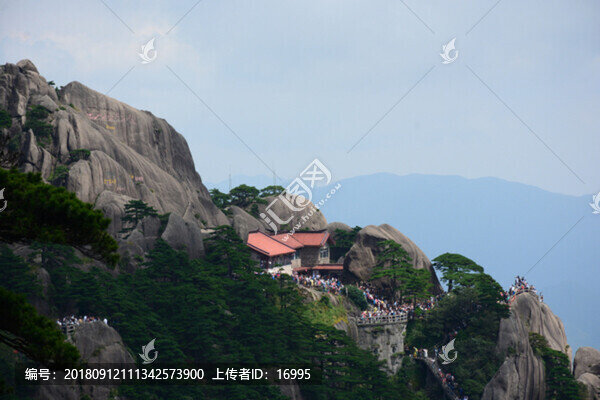 黃山迎客松