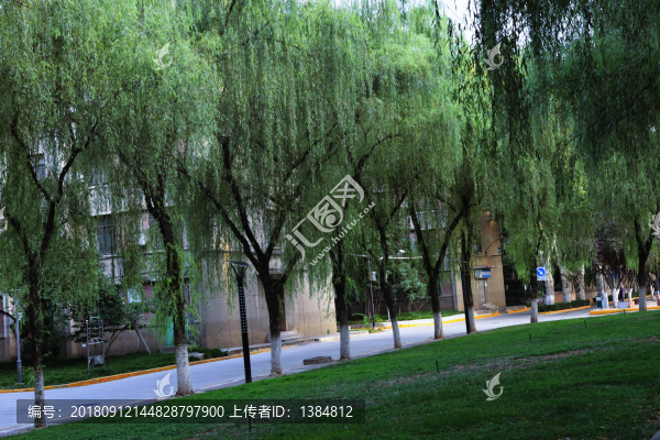西安交通大學(xué)校園