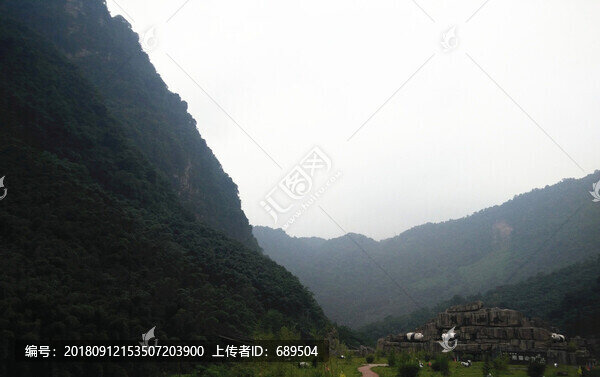 高山植被