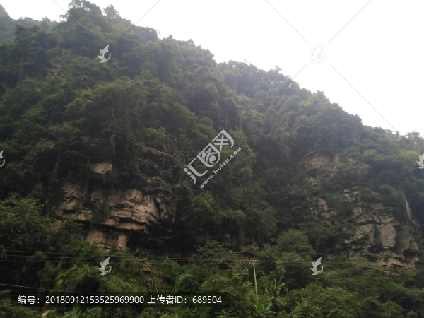 高山植被