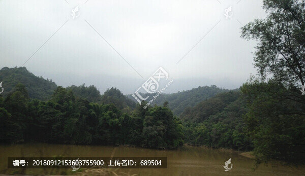 高山植被