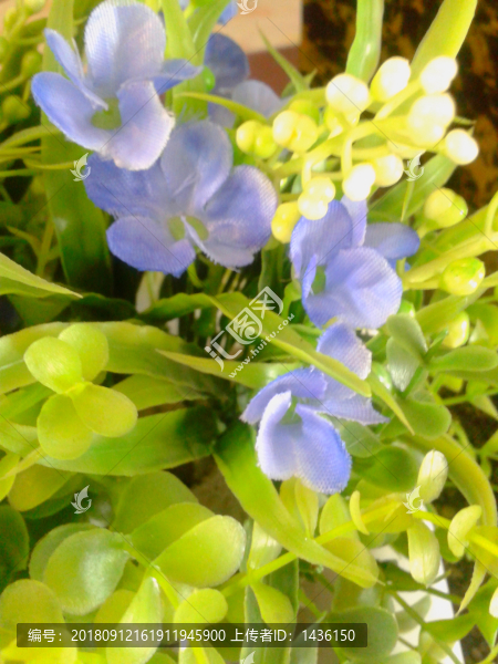 布藝花