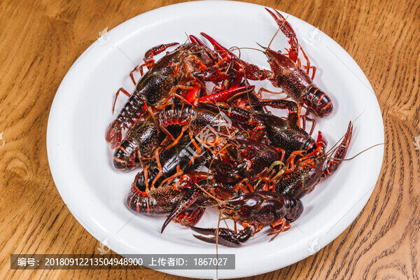 小龍蝦