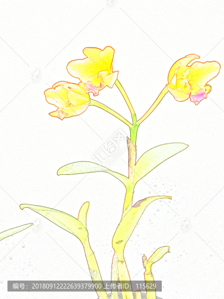抽象花寫意裝飾畫