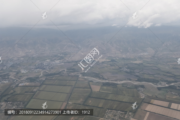 田野