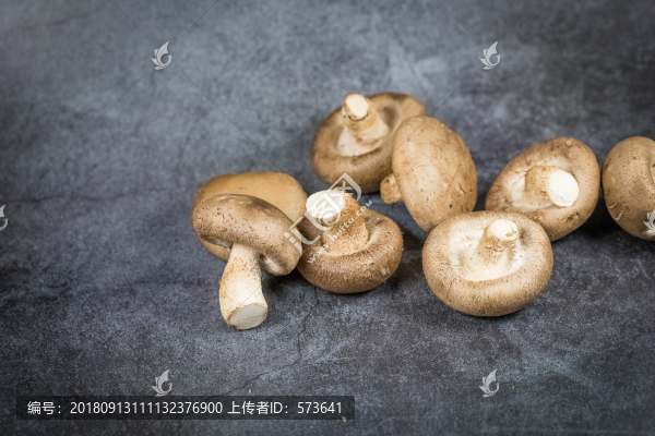 蘑菇