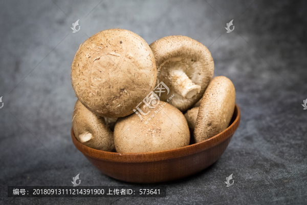 蘑菇