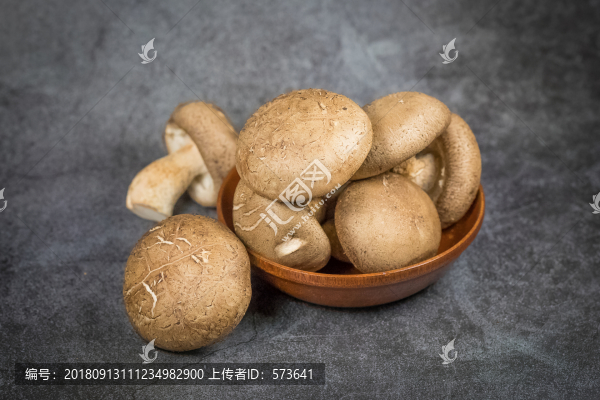 蘑菇