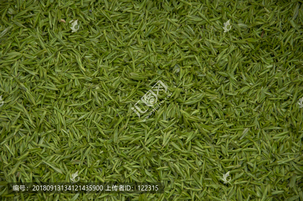 綠茶