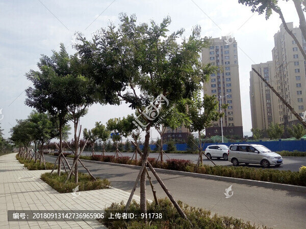 城市景觀