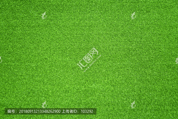 綠色草坪