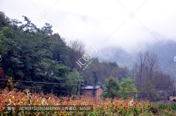 隴南風光