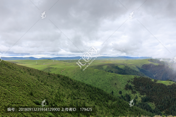 甘孜理塘高山草甸高原草原