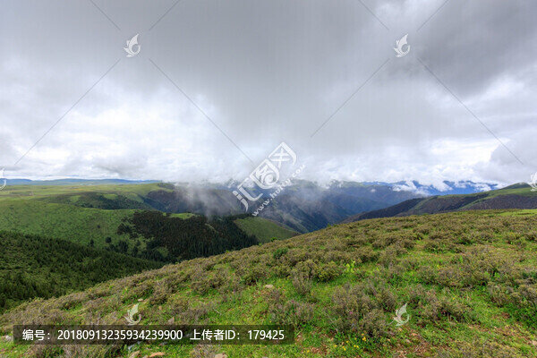 甘孜理塘高山草甸高原草原