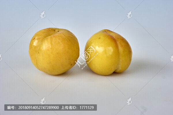 黃金梨