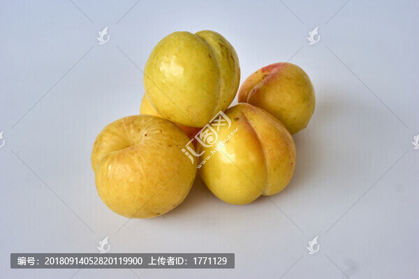 黃金梨