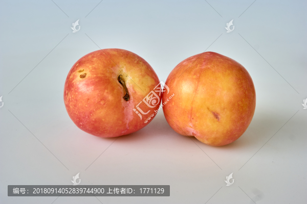 黃金梨