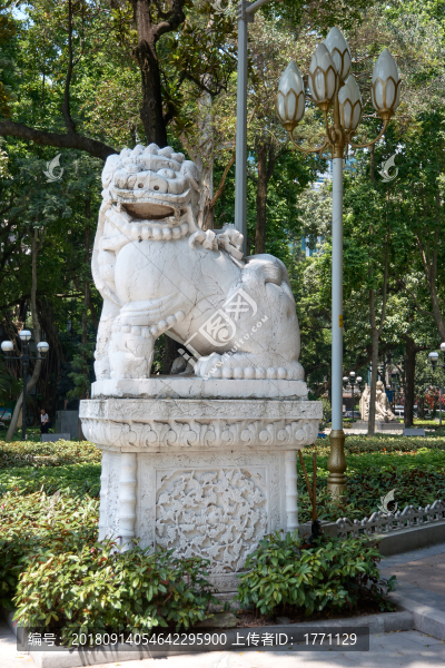 石雕獅子花紋