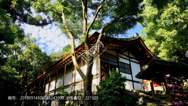 奈良寺廟