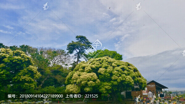 鐮倉(cāng)旅游