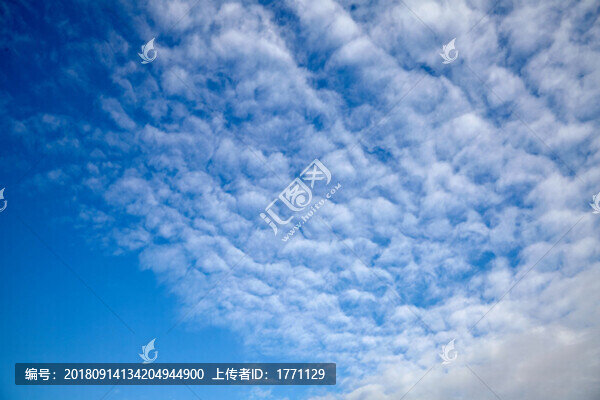 藍(lán)天樹(shù)林白云