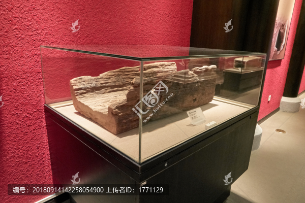 博物館展廳