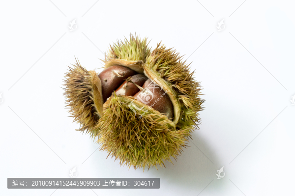 栗子