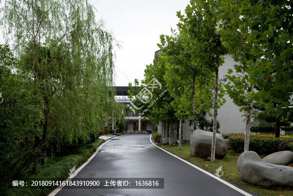 路
