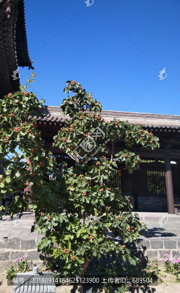 園林藝術(shù)