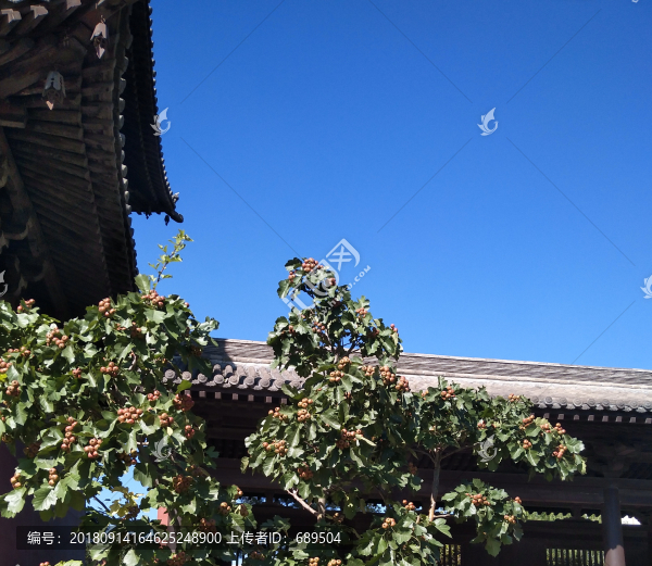 園林藝術(shù)