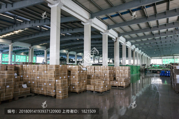 大涼山,啤酒,生產(chǎn)線,車間,流水線,工人,酒