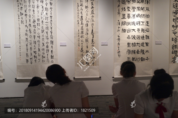 寧波美術(shù)館,展覽,展示,作品,內(nèi)景,建筑,空間