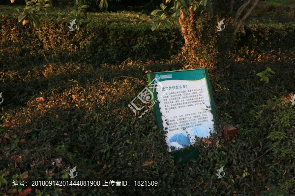 公園