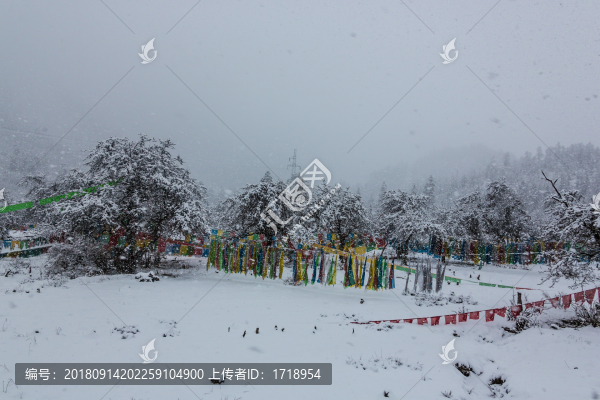 西藏林芝高原暴風(fēng)雪樹掛經(jīng)幡風(fēng)光