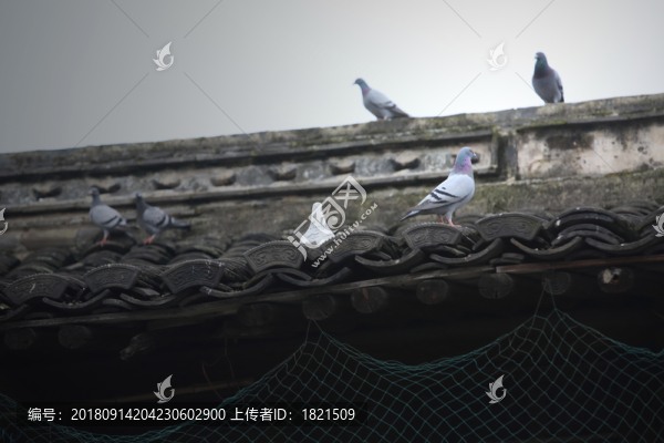 老房子