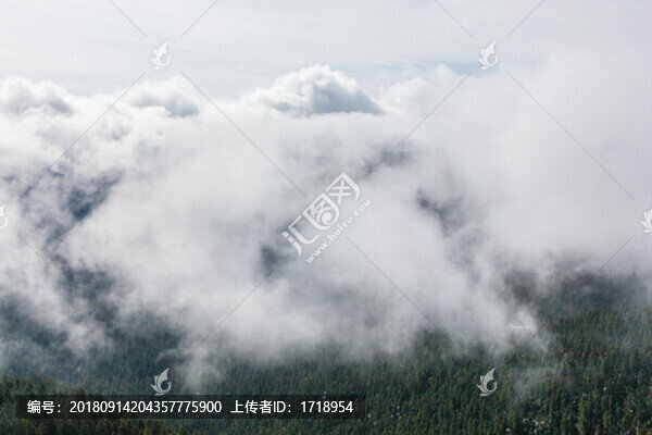 中國西藏林芝波密雪山云海16