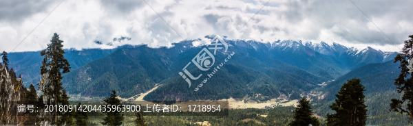 中國西藏林芝魯朗林海云海雪山