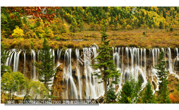 九寨溝,四川,景區(qū),水