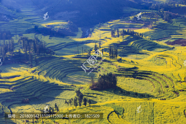 云南,旅游,風(fēng)光