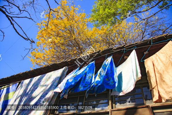 北京,四合院,老房子,老街,巷子,秋天,陽(yáng)光,曬衣物