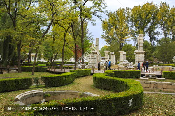 北京,圓明園,皇家園林,秋色,銀杏,殘垣斷壁,歷史,遺跡,遺址,大水法,石頭