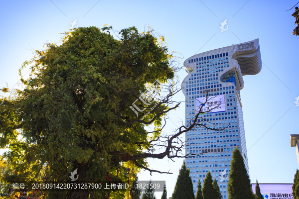 北京,奧林匹克公園,場館,鳥巢,水立方