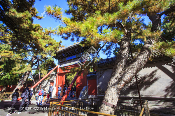 北京,頤和園,皇家園林,昆明湖,萬壽山,長(zhǎng)廊,古建筑